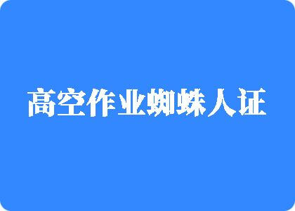 日屄网域名高空作业蜘蛛人证